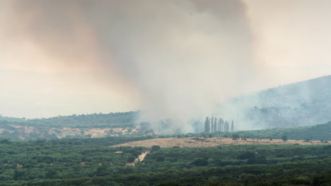 4k wildfire timelapse video smoke large brush fire close shot greece summer