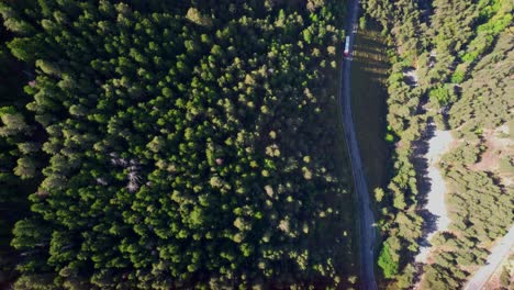 imágenes de drones de un camión de remolque conduciendo por una carretera solitaria rodeada de exuberantes árboles verdes bajo la luz del sol
