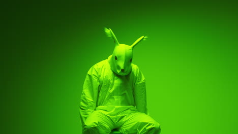 person in rabbit mask and green suit