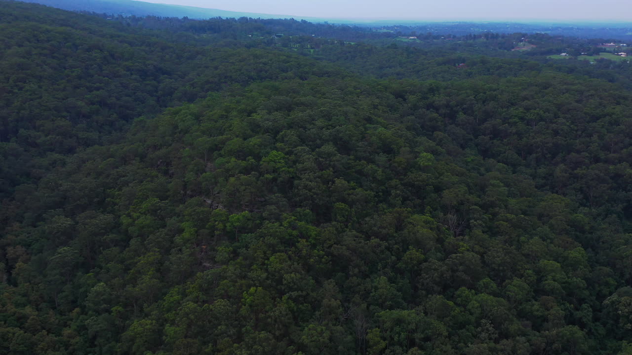 descenso aéreo de una escena épica de la zona rural de sydney, australia, casas y un denso bosque montañoso de árboles verdes en un día despejado