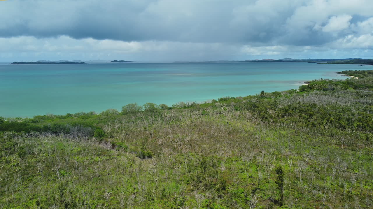 paso elevado sobre la playa boscosa cerca de poingam y boat pass, nueva caledonia
