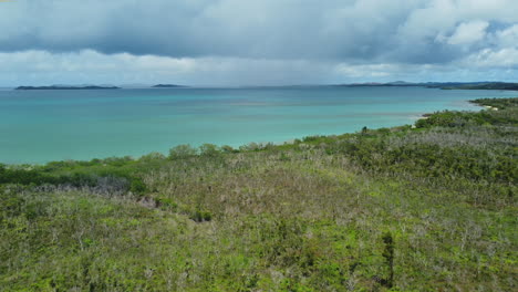 Paso-Elevado-Sobre-La-Playa-Boscosa-Cerca-De-Poingam-Y-Boat-Pass,-Nueva-Caledonia