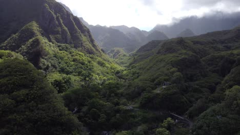 tiro de drone de bosque verde en las montañas de hawaii