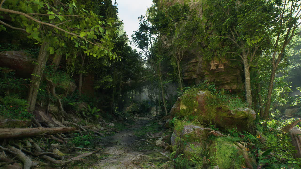 울창하고 초록색의 정글 길