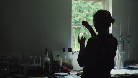 Silhouette-Of-A-Female-Researcher-Working-With-Product-Samples-In-A-Flask-Back-View