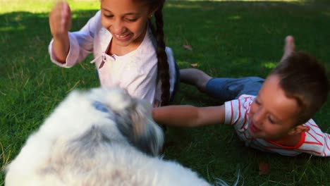 Siblings-sitting-with-their-pet-dog-in-park