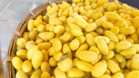 yellow and white silkworm cocoons in baskets