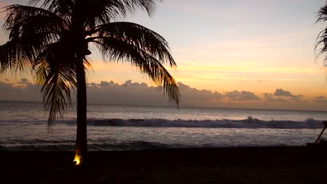 Silhouetted-Palm-Tree-on-a-Beach-at-Sunset