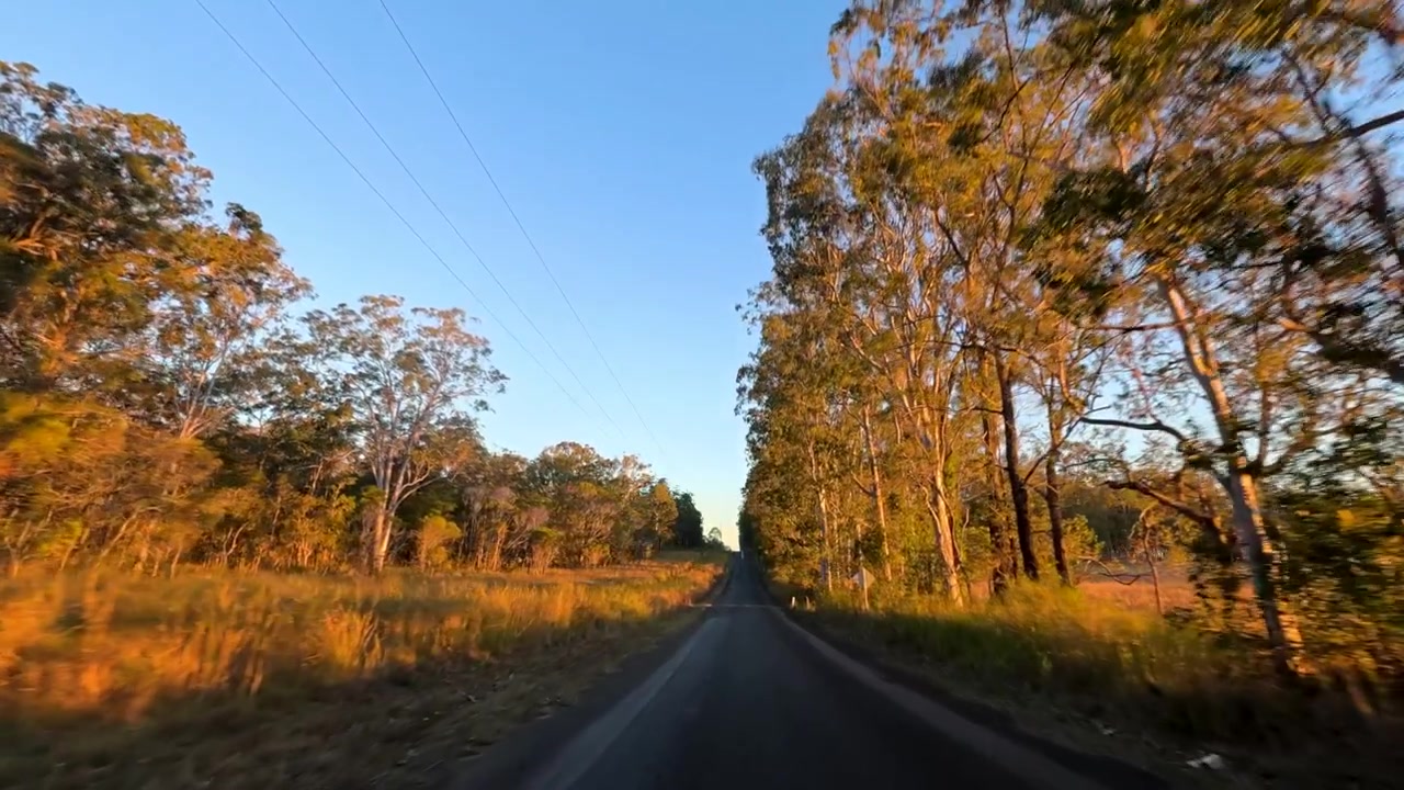 Ripresa in soggettiva mentre si guida lungo una strada rurale attraverso alberi di eucalipto al tramonto