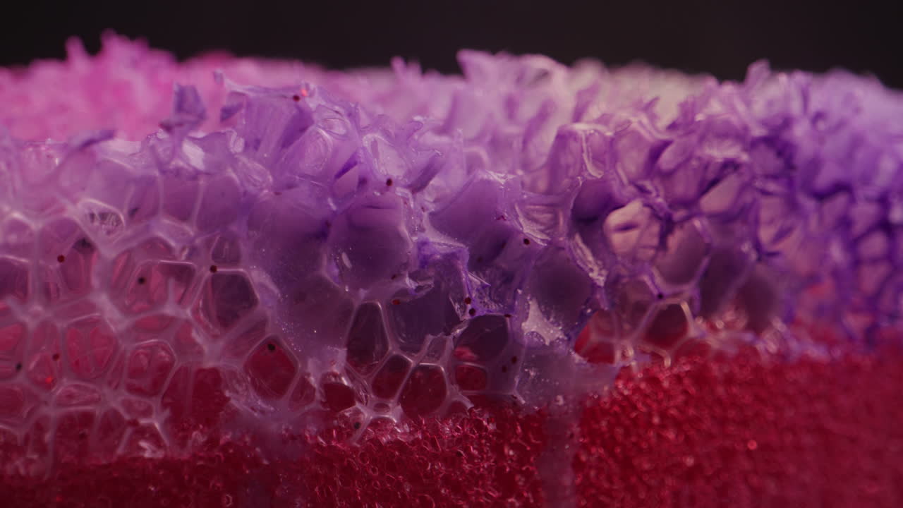 Close-up of a Dyed Sponge