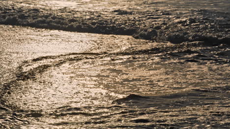 golden waves wash coast in morning. foamy ocean shallow water reflect sunlight.