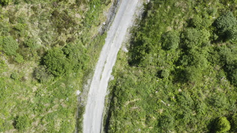 aerial - winding road on a tree farm close to galway, ireland, top down forward