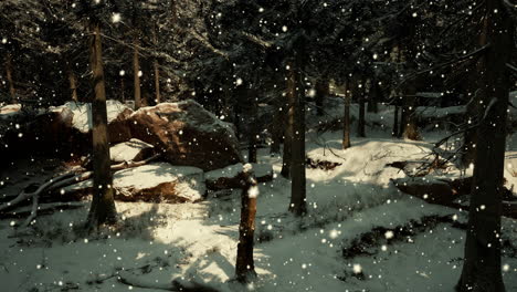 snowy winter forest scene