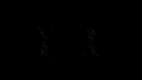 real smoke effect 04