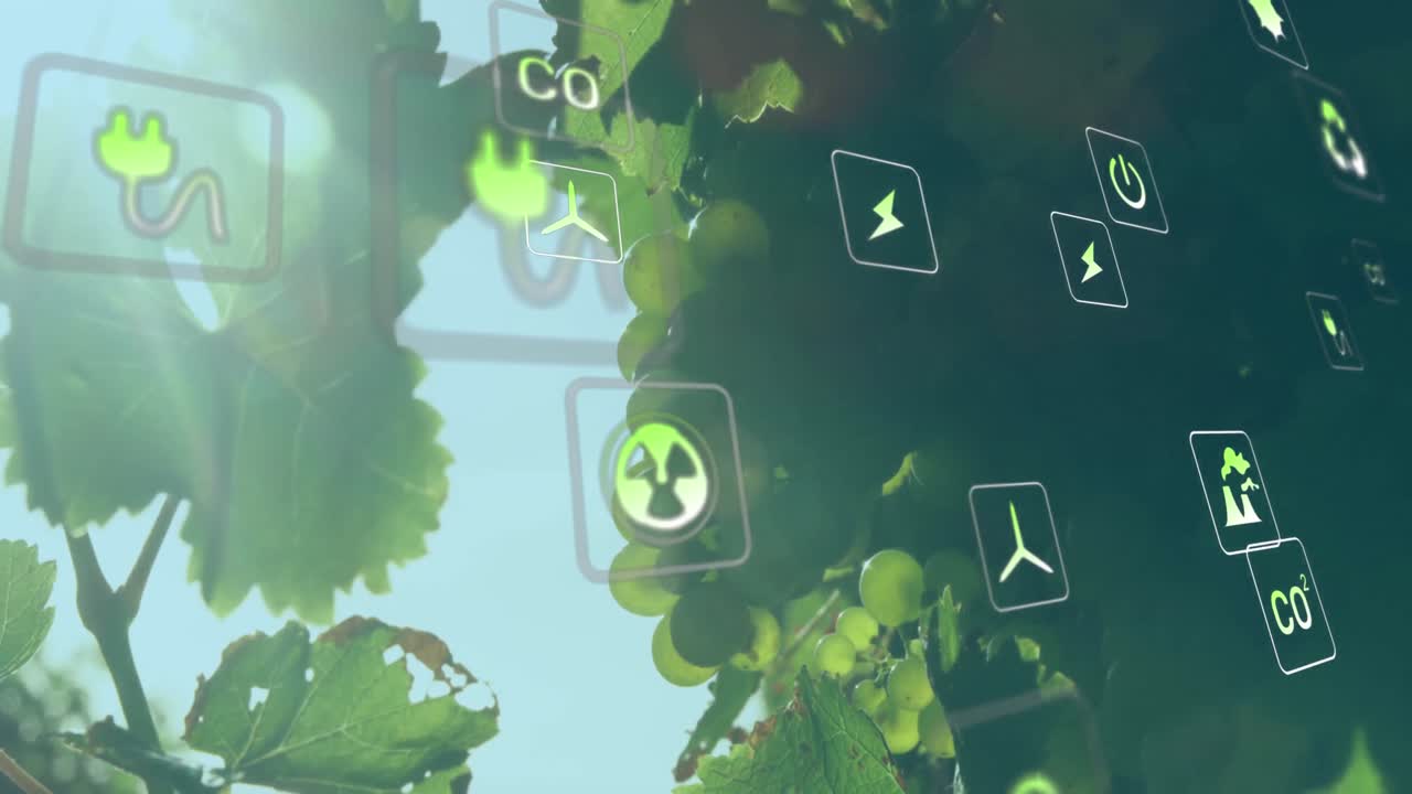 포도 위의 디지털 아이콘의 애니메이션