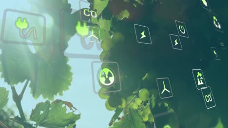 animación de iconos digitales sobre las uvas