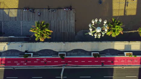Rising-aerial-shot-of-a-bicycle-lane-in-height-on-the-shore-of-a-beach-with-palm-trees