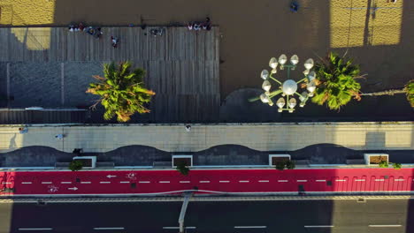 toma aérea ascendente de un carril bici en altura en la orilla de una playa con palmeras