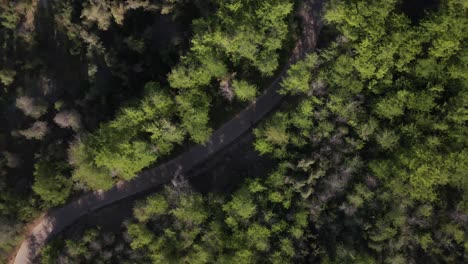 Bird-eye-shot-of-San-Cristobal-hill-in-Santiago-de-Chile,-uhd-4k