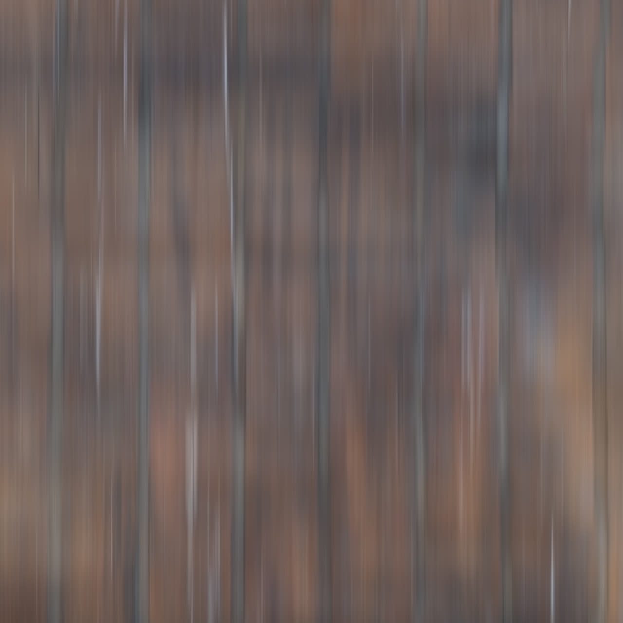 Blurred Forest Texture