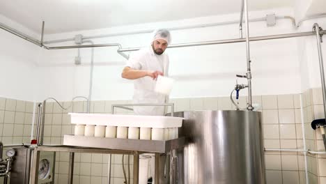 operator working in cheese factory-diary  cheese production