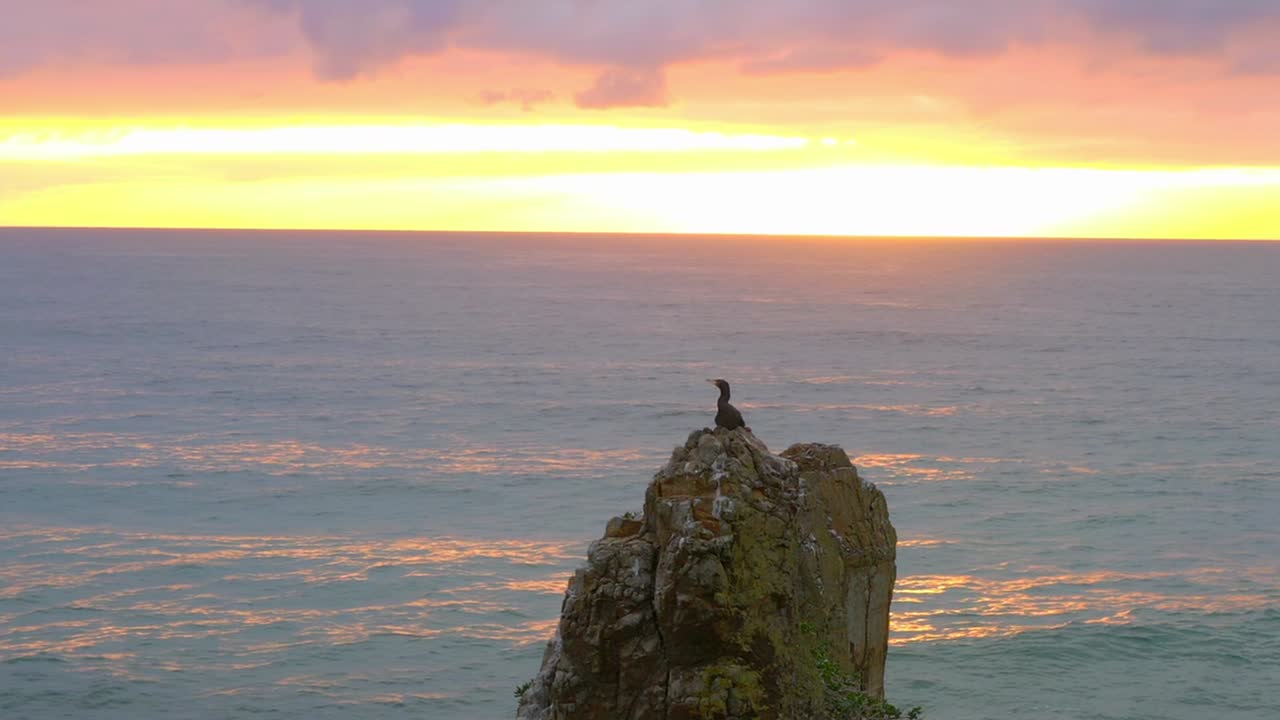키아마 다운스, 뉴 사우스 웨일즈, 호주에서 일몰에 수생 조류와 대성당 바위 뒤에 잔잔한 바다