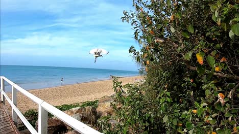 Ibis-Bird-Flies-Away-from-the-hand-rail-of-a-wharf-in-Australia