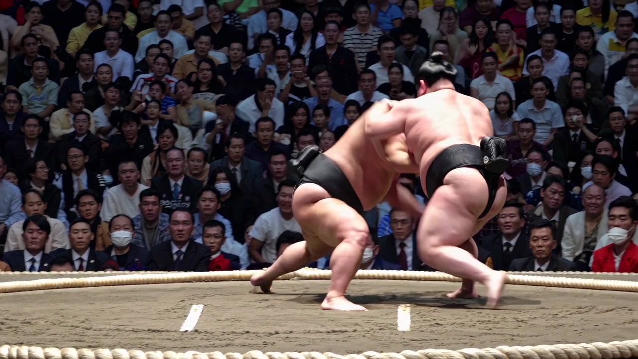 生観戦の観客の前で行われる白熱した相撲の取組