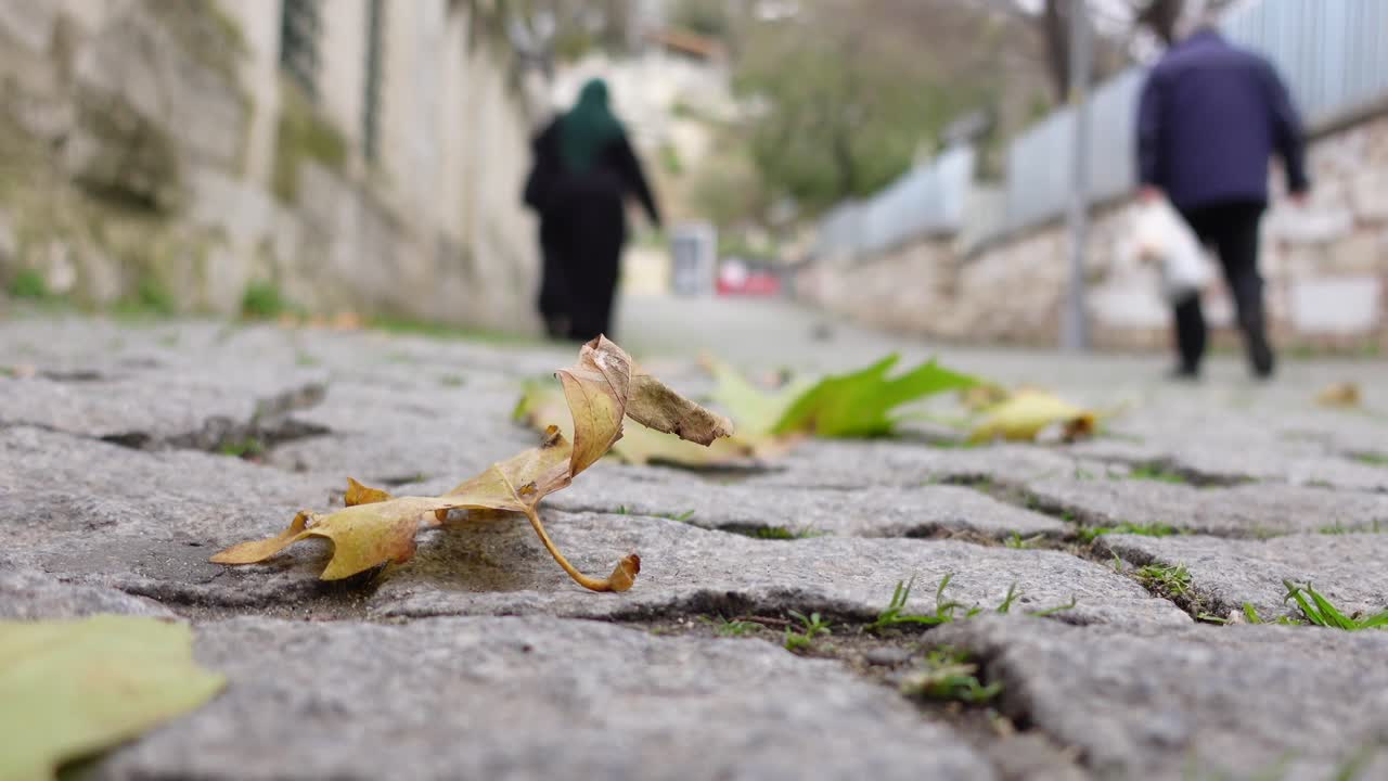 사람들이 가을 잎과 함께 자갈로 된 거리를 고 있습니다.
