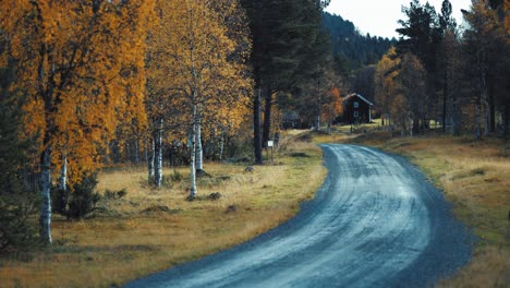 the narrow unpaved road winds through the autumn forest leading to the secluded wooden cottage