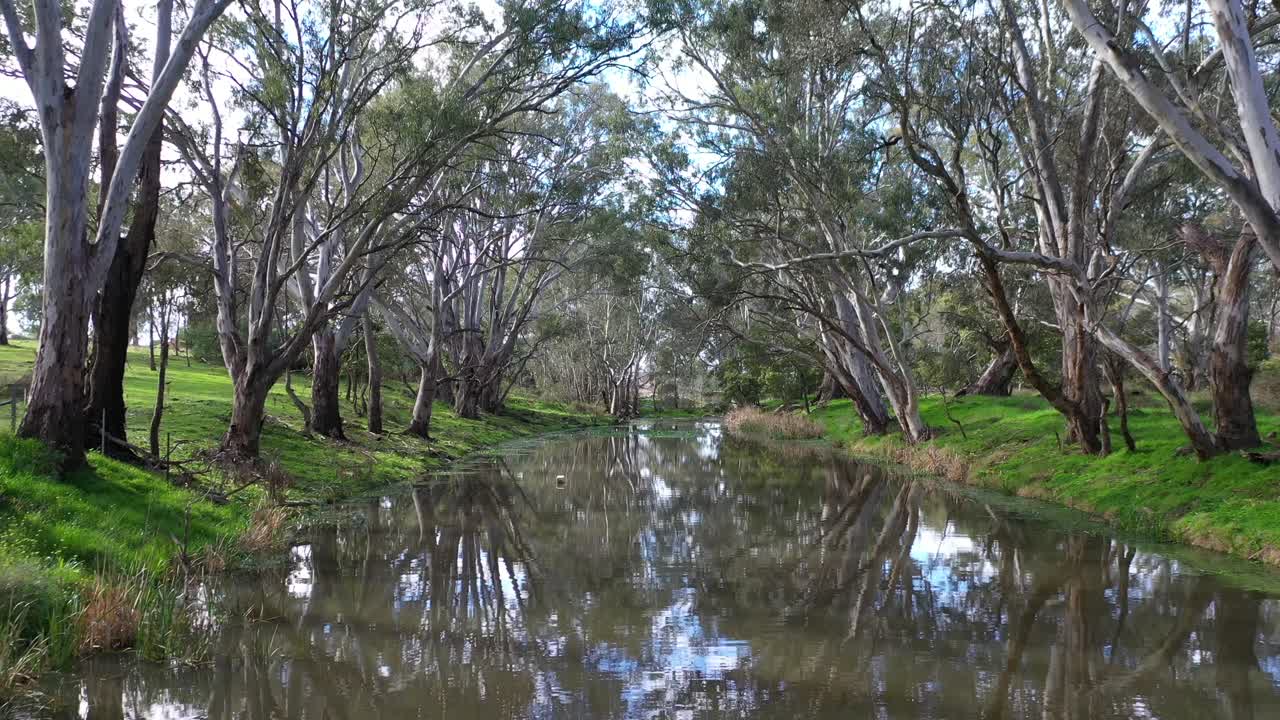 아웃백의 아름다운 오스트레일리아 나무로 둘러싸인 수로를 따라 날아가는 드론