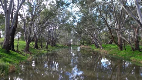 Drone-flying-down-waterway-lined-by-beautiful-australian-trees-in-outback