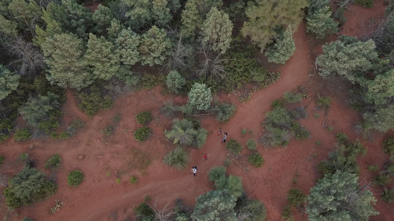 familia caminando por un sendero de tierra rodeado de árboles, toma aérea de drones
