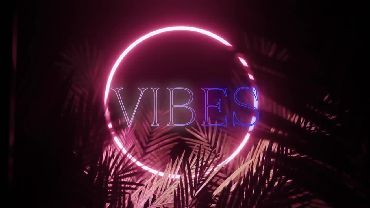Animation af 'vibes'-tekst over neonformer og planter