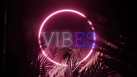 animation of vibes text over neon shapes and plants