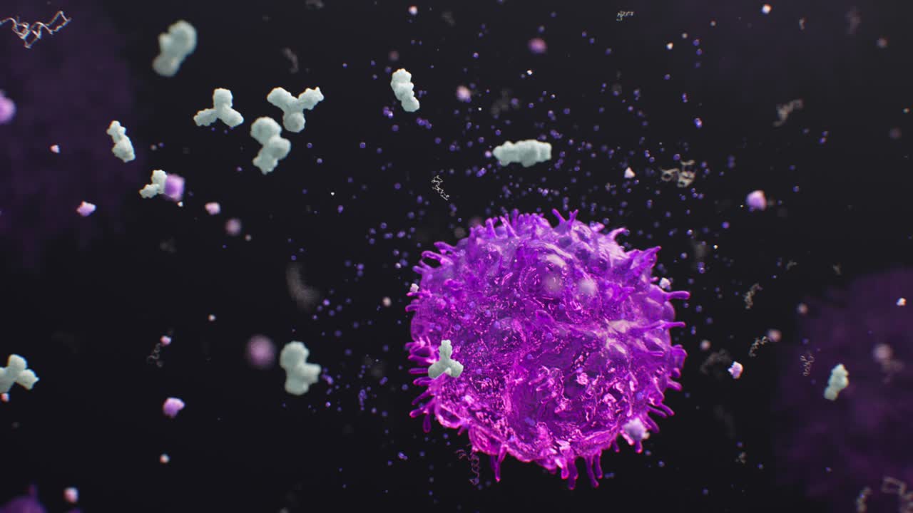 Microscopic View of Antibodies Binding to a Purple Cell