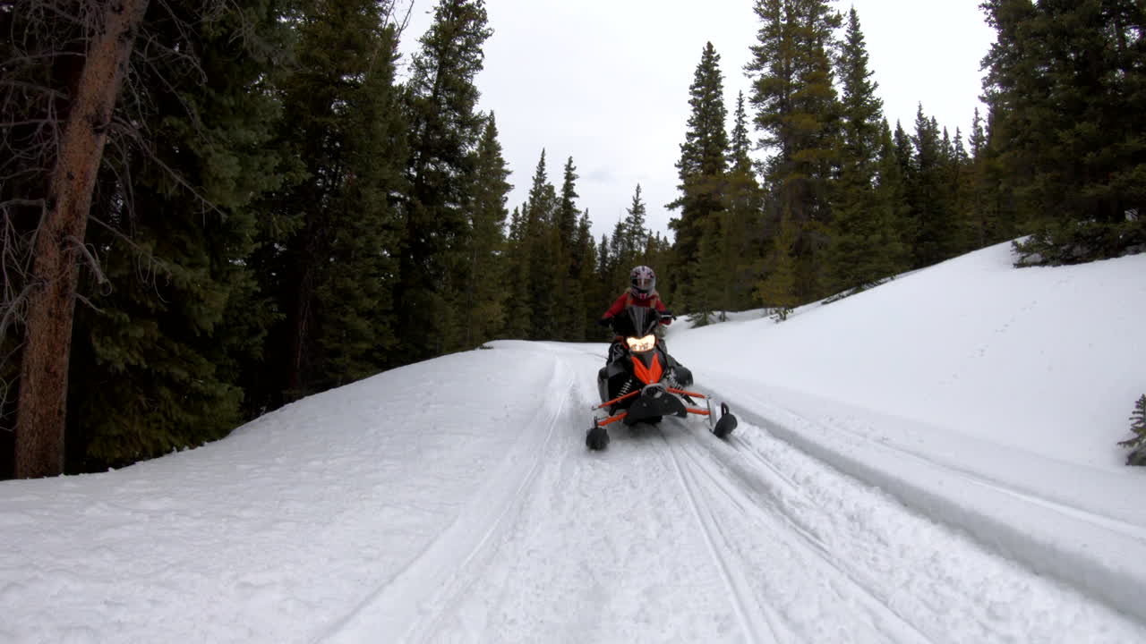 snowmobiling in the mountain forest