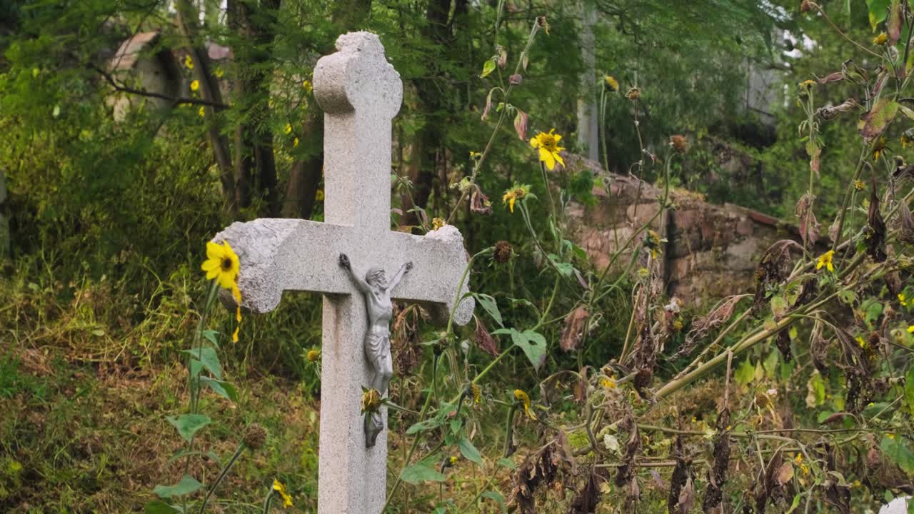 A simple stone grave with crucifix sits within an overgrown forgotten part of a graveyard. Yellow Flowers surround it