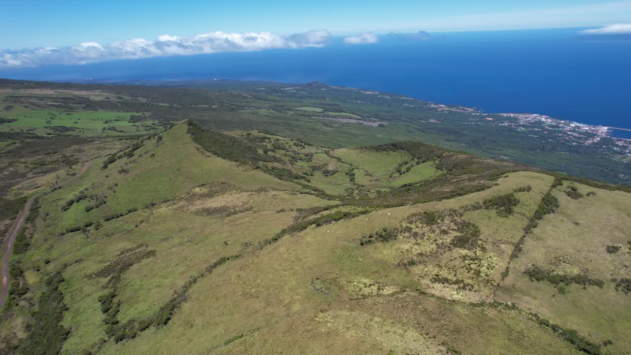아조레스 섬의 피코 섬의 초록색과 화산 풍경