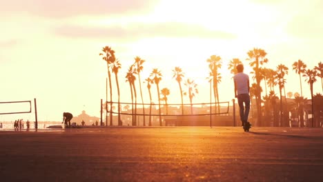 a man rides an electric scooter into the sunset