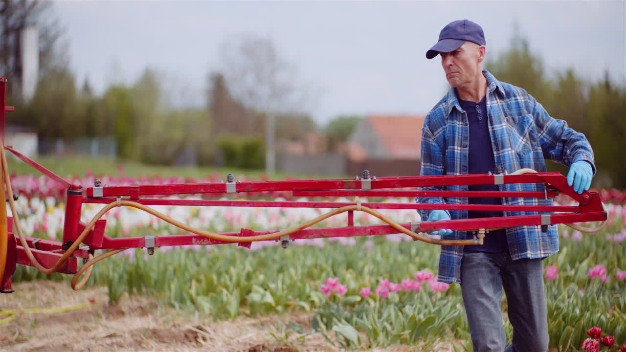 Farmer Adjusting Agricultural Sprayer in a Blooming Tulip Field