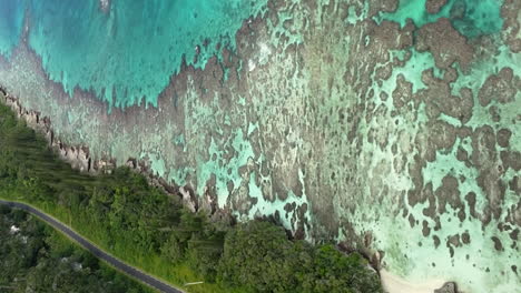 aerial pull back shot revealing breathtaking coastline, crystal water and tropical forest