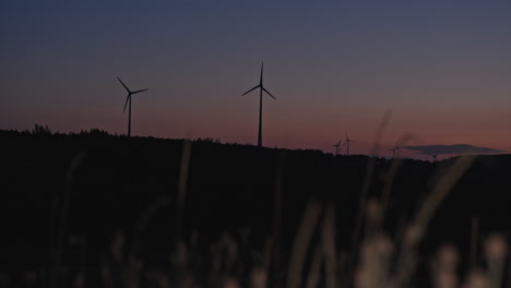 Panorama-Von-Pinienrädern-Bei-Nacht-Auf-Einer-Vom-Letzten-Sonnenlicht-Erleuchteten-Landschaft