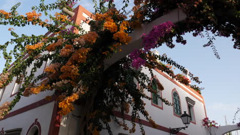 Wunderschöne,-Mit-Blumen-Geschmückte-Fassade-Eines-Der-Häuser-Im-Hafen-Von-Mogan-Auf-Der-Insel-Gran-Canaria