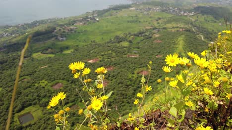 提科納堡 (tikona fort) 的空中景色 - - 印度普內 (pune) 洛納瓦拉 (lonavala) 附近的一座堡垒,