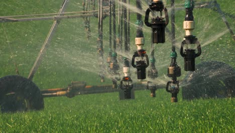 close up of sprinkler nozzles spraying water on green crops, center pivot irrigation