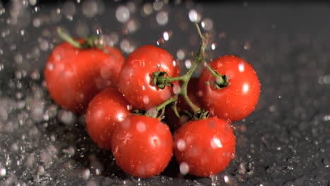 agua cayendo sobre los tomates en súper cámara lenta