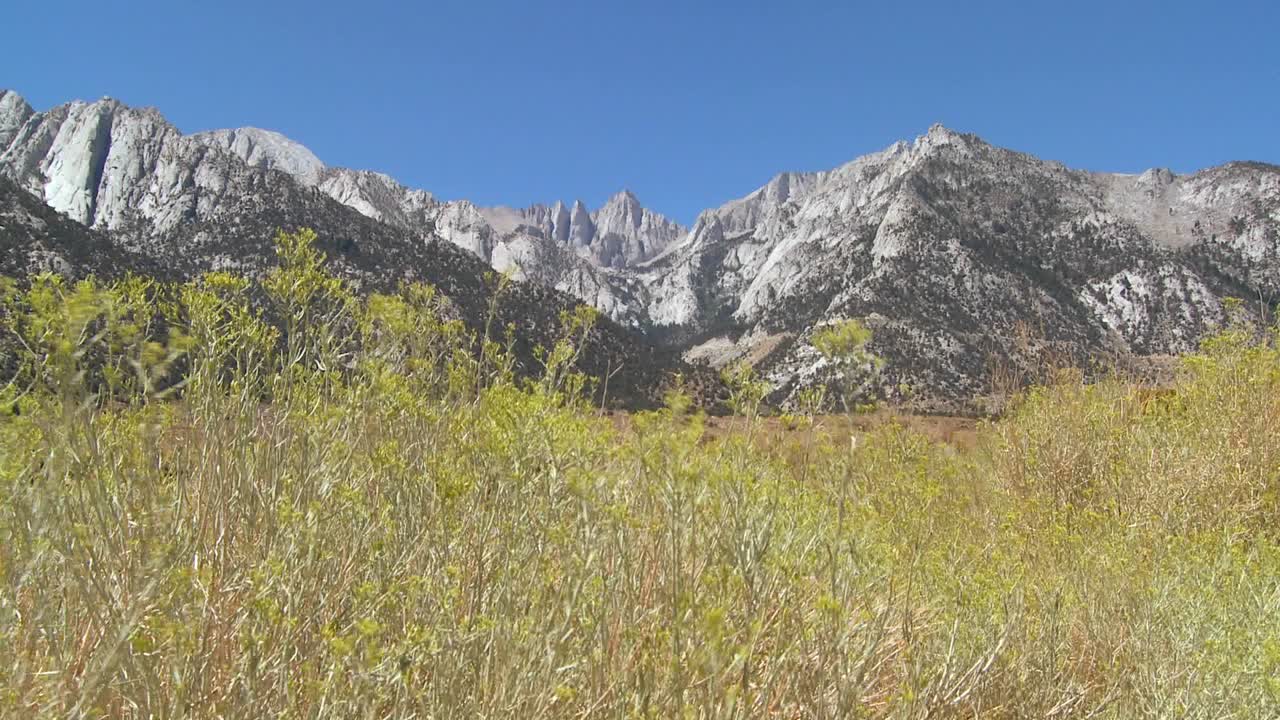 cepillo sopla frente a mt whitney en las montañas de sierra nevada en california 1
