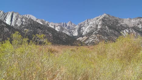 brush blows in front of mt whitney in the sierra nevada mountains in california 1