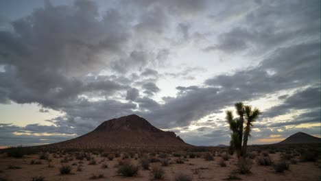 nascer do sol dourado cinematográfico no deserto de mojave com joshua tree e montanhas butte